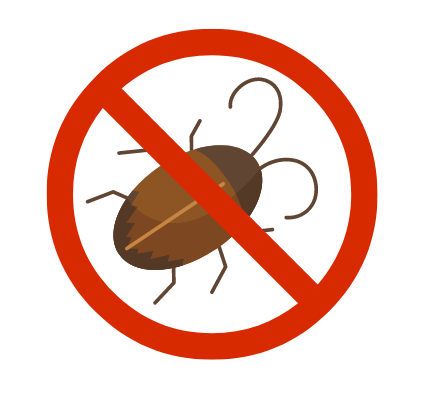 Carpet Beetle Control